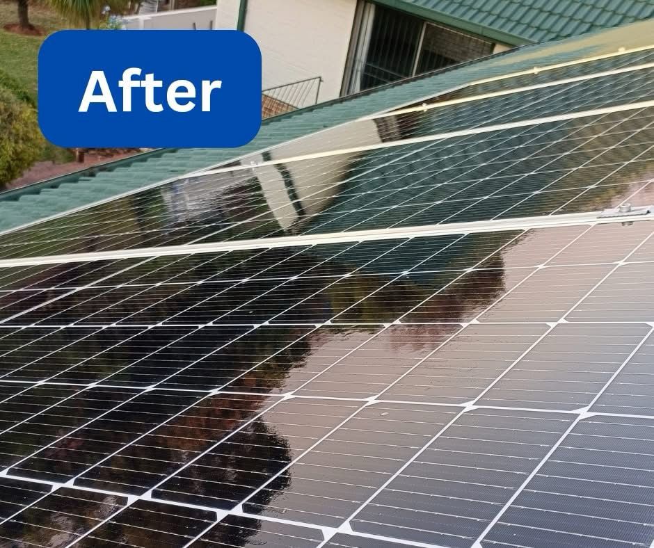 WhatsApp Image 2025-04-30 at 11.08.58